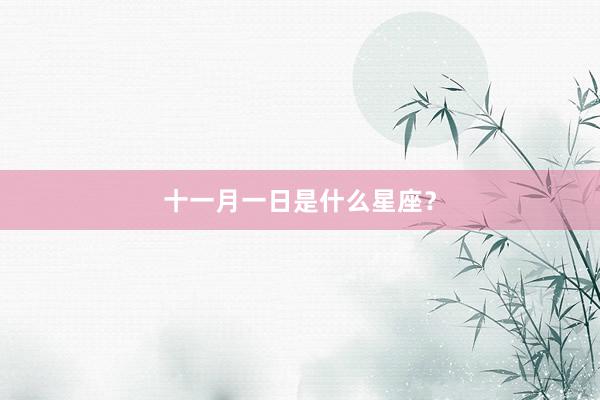 十一月一日是什么星座？